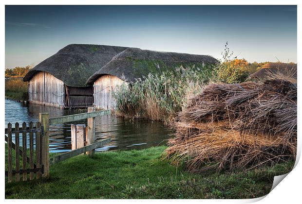 Hickling Thatched Boathouses Print by Stephen Mole
