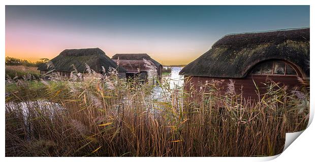 Hickling Thatched Boathouses Print by Stephen Mole