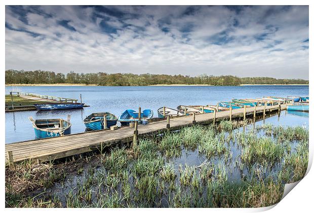 Moored at Filby Broad Print by Stephen Mole