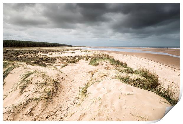 Holkham Beach and Woods Print by Stephen Mole