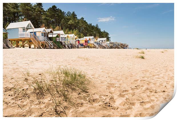 Wells Beach and Beach Huts Print by Stephen Mole