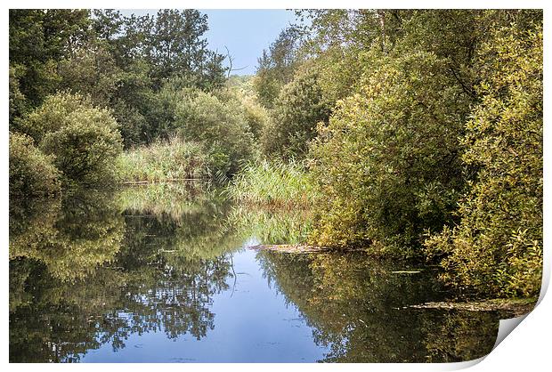  Upper Reaches of River Ant Print by Stephen Mole