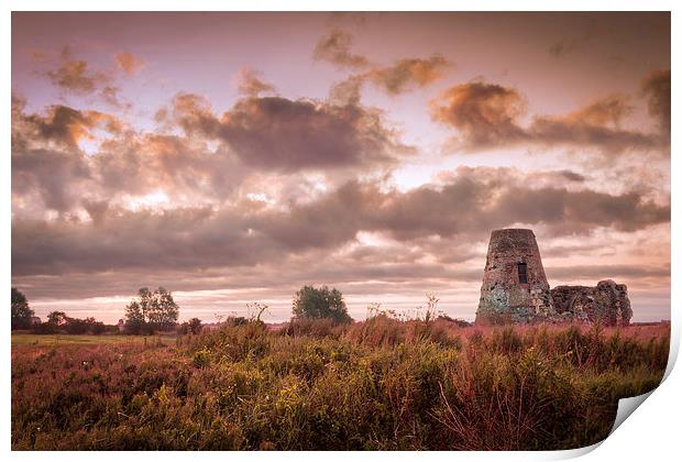  St Benets Abbey Print by Stephen Mole