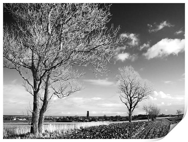 Looking across the fields  towards Winterton, Norf Print by Stephen Mole