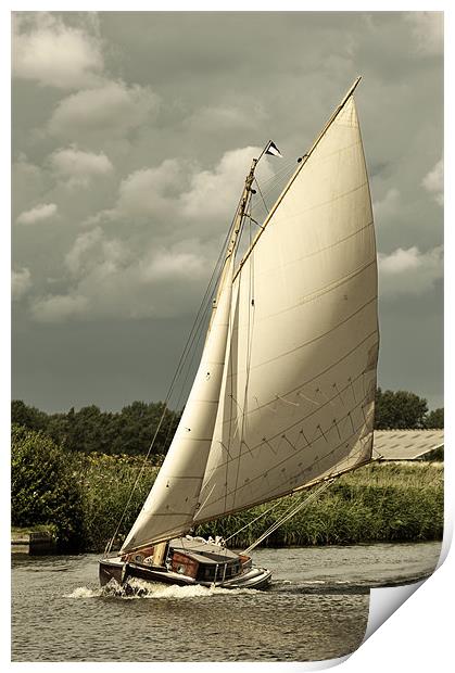 Yacht in full sail Print by Stephen Mole