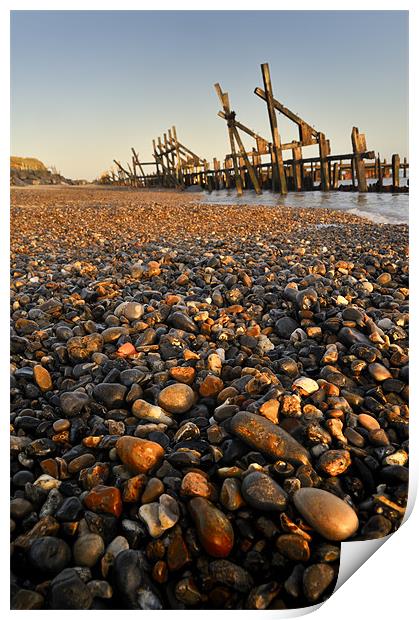 Pebble and  Wood Sea Defence Print by Stephen Mole