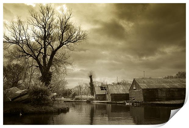 Hickling Boat Sheds Print by Stephen Mole