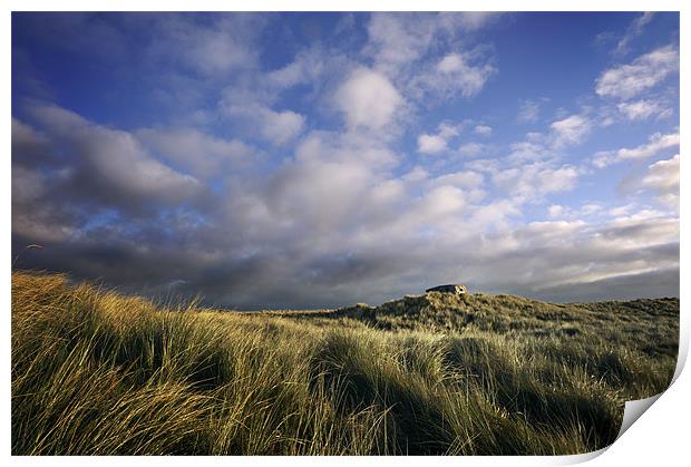 Pill box on the dunes Print by Stephen Mole