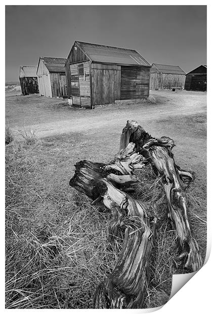 Driftwood and fishermans huts Print by Stephen Mole