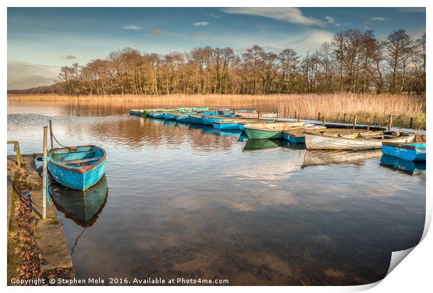 Dinghies at Filby Broad Print by Stephen Mole