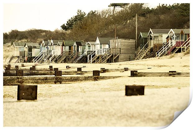 Groyns and Beach Huts Print by Stephen Mole