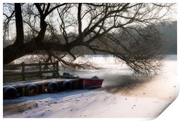 Frozen Ormesby Broad Print by Stephen Mole