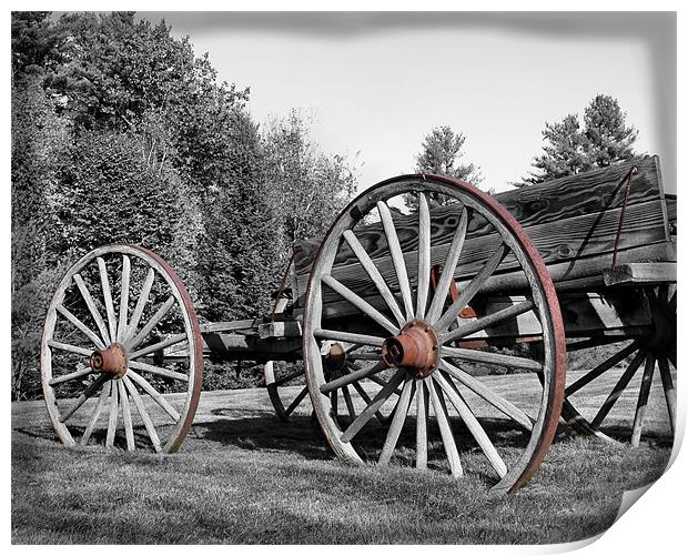 Old Wagon Wheels Print by Jean Scott