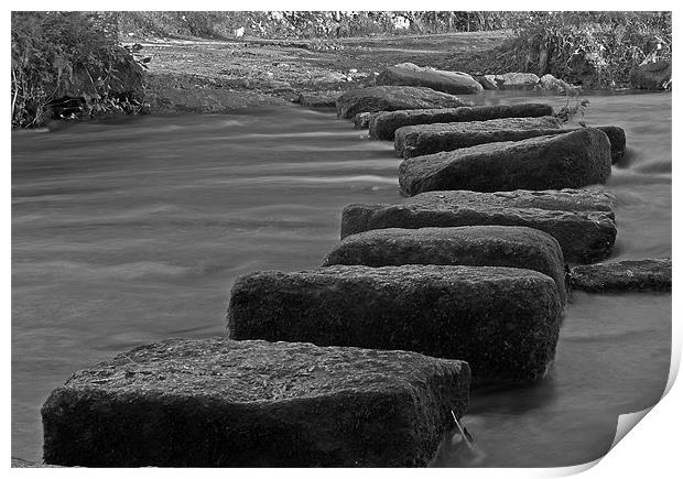 Stepping Stones Print by allen martin