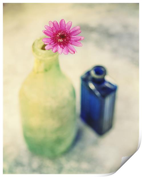 Flower and Old Bottles Print by James Rowland