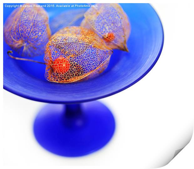 Chinese Lanterns in a Bowl Print by James Rowland