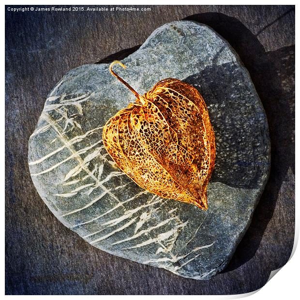  Heart Stone Print by James Rowland