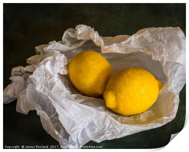 Lemons on Tissue paper Print by James Rowland