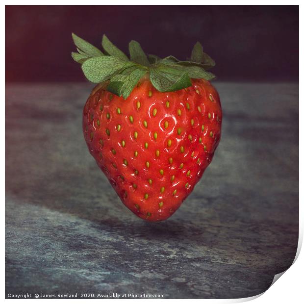 Extraordinary Strawberry Print by James Rowland