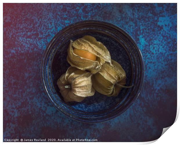 Physalis in a Bowl Print by James Rowland
