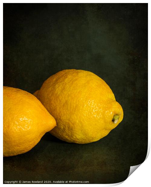 Lemon Kiss Print by James Rowland