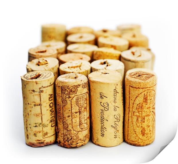 Put a cork in it Print by James Rowland