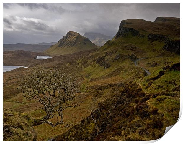 The Rowan Tree and The Quiraing. Print by Martin Appleby