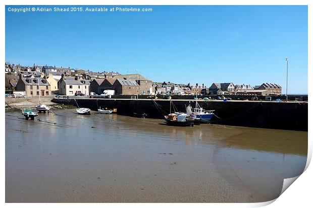  Harbour Low Tide Print by Adrian Shead