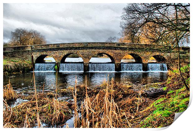 5 Arches in hdr Print by Dave Windsor