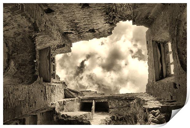 Sherbourne Castle 4 HDR Print by Dave Windsor