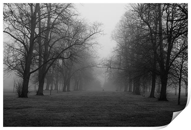 Foggy Walk Print by Dave Windsor