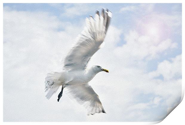 Seagull Print by Radovan Chrenko