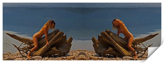 Driftwood Bay Print by Amy Rogers