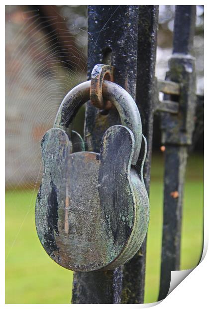 Lock and a Spider Web Print by Amy Rogers