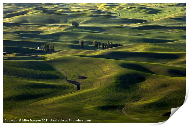 Sea of Green Print by Mike Dawson