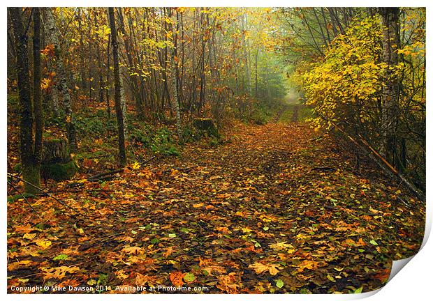 Autumn Lane Print by Mike Dawson