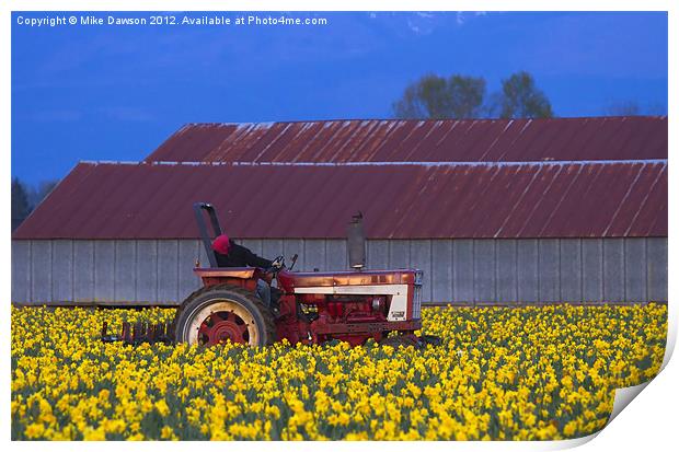 Working Fields of Color Print by Mike Dawson