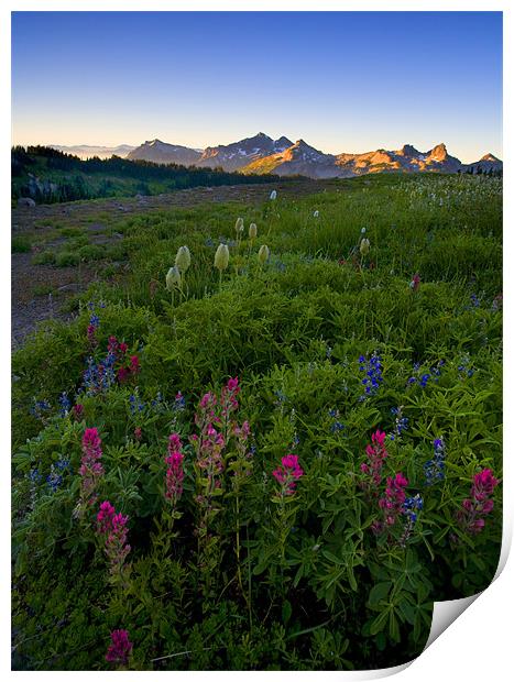 Tatoosh Sunrise  Print by Mike Dawson