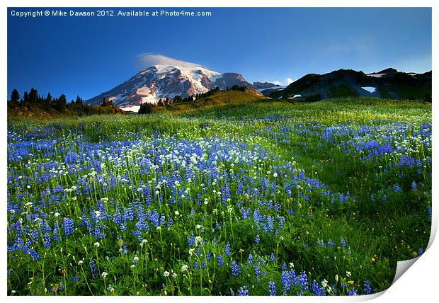 Fields of Paradise Print by Mike Dawson