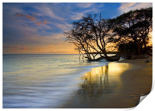 Reflections of Paradise Print by Mike Dawson