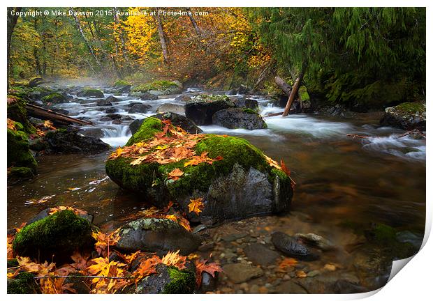 Autumn Stream Print by Mike Dawson