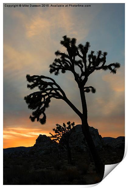 Reaching for the Heavens Print by Mike Dawson
