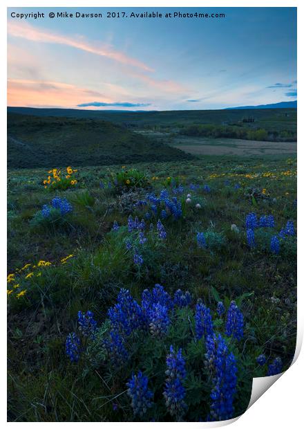 Cowiche Wildflower Sunset Print by Mike Dawson