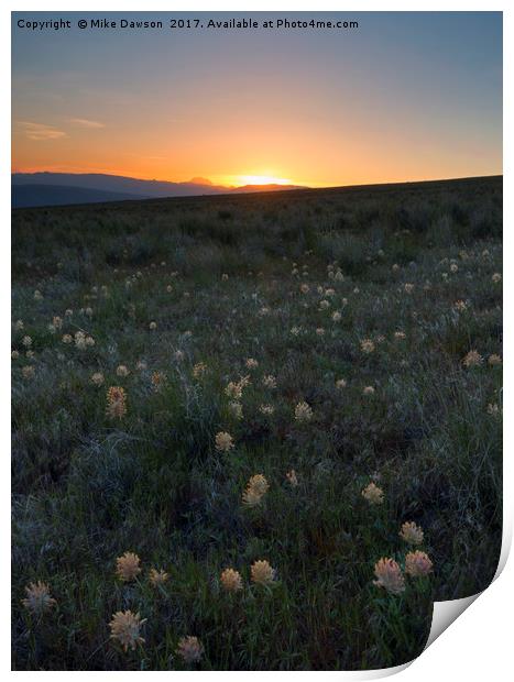 Sunset and Clover Print by Mike Dawson