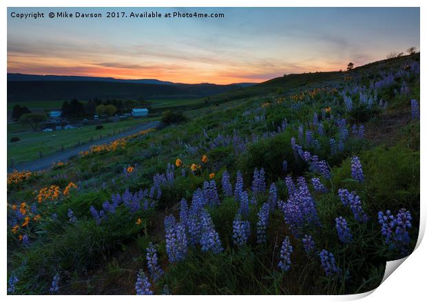 Country Meadow Sunset Print by Mike Dawson