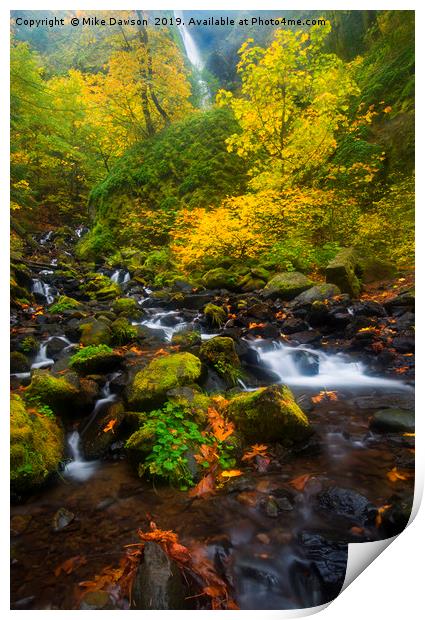 Surrounded by Fall Color Print by Mike Dawson