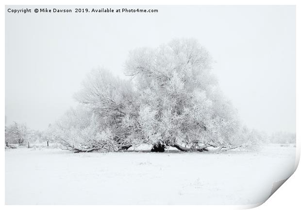 White on White Print by Mike Dawson