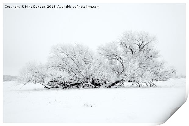 Frosted White Print by Mike Dawson