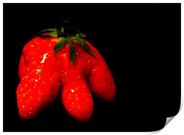 strawberry Print by rachael hardie