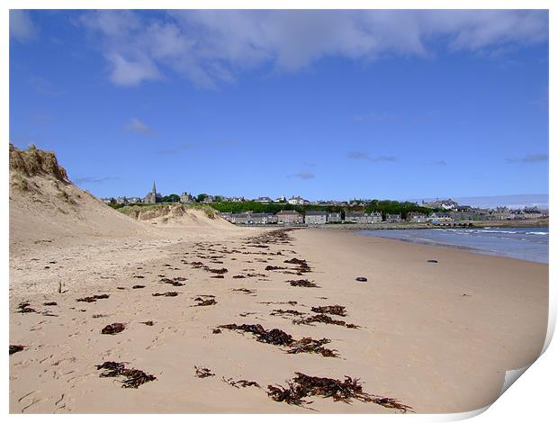 East Beach, Lossiemouth Print by Dave Wyllie